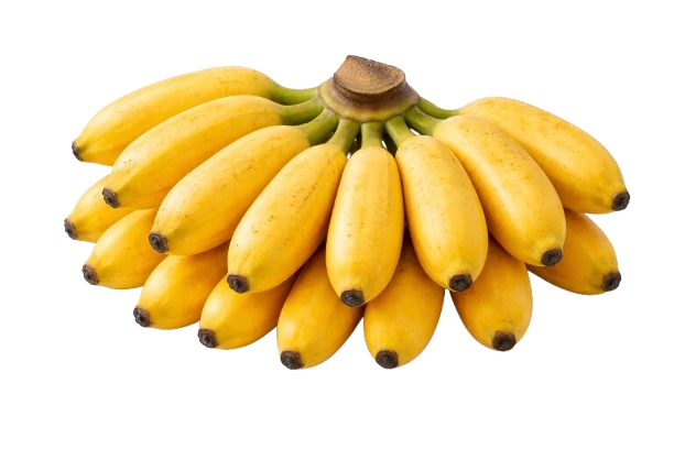 Baby Banana