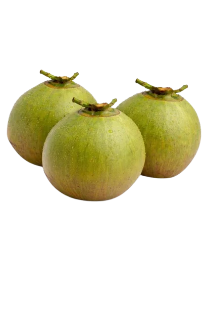 Pure Tender Coconut